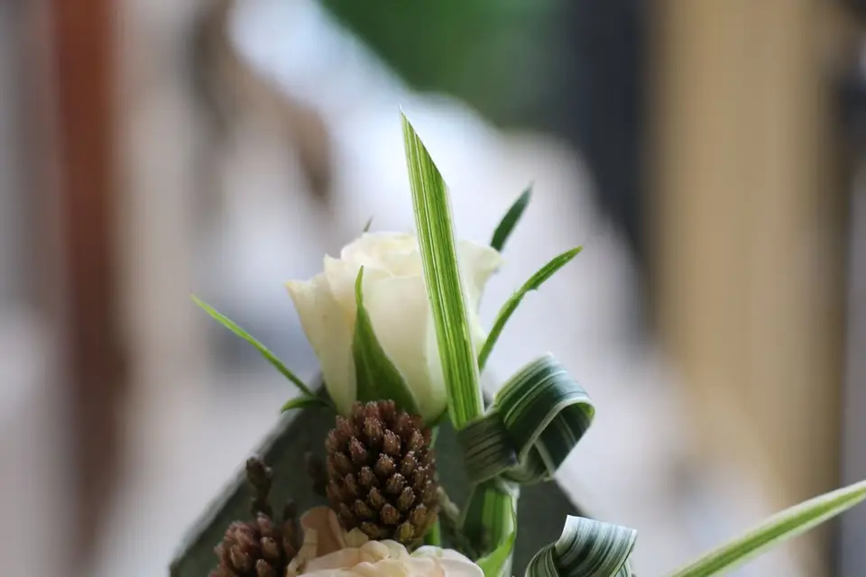 La Source aux Fleurs — photo 4