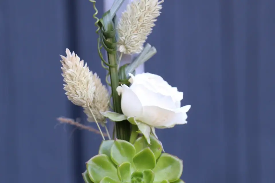 La Source aux Fleurs — photo 3