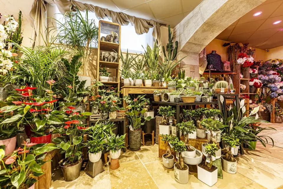 L'effet Fleur — photo 6