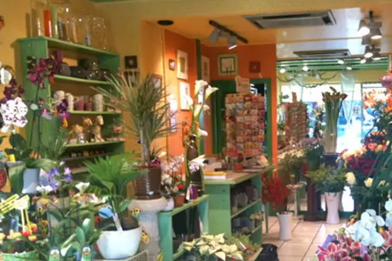 L'effet Fleur — photo 2