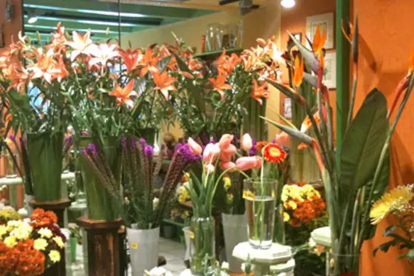 L'effet Fleur — photo 4