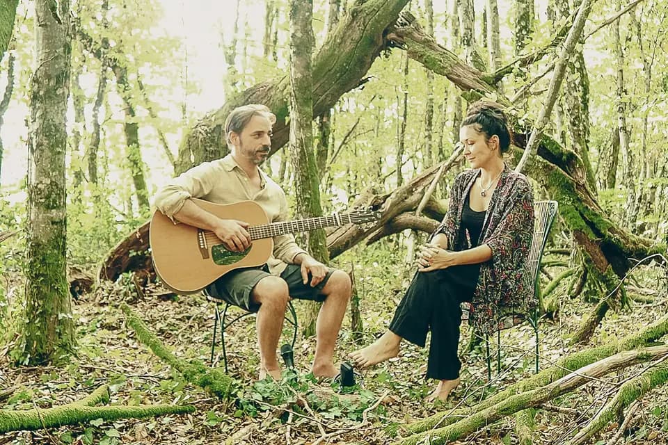 A Bird's Tale — photo 2