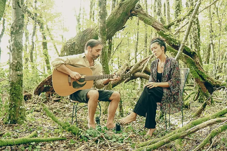 A Bird's Tale — photo 1