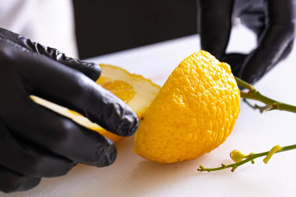 Dailyzioso — photo 1