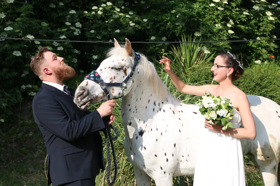 Clic & Déclic — photo 7