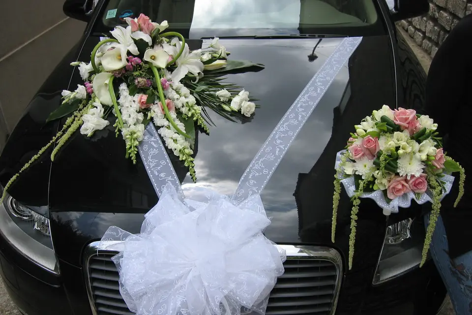 Clotilde Fleurs — photo 4