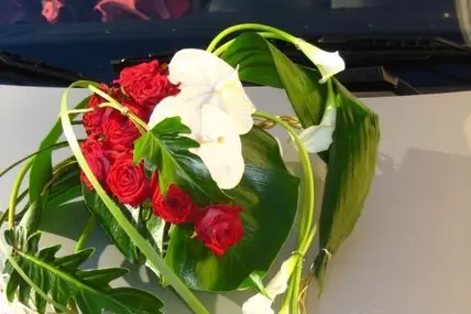 Fleurs d'émotion — photo 4