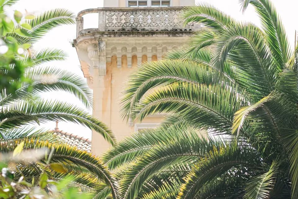 Severine Alves — photo 3