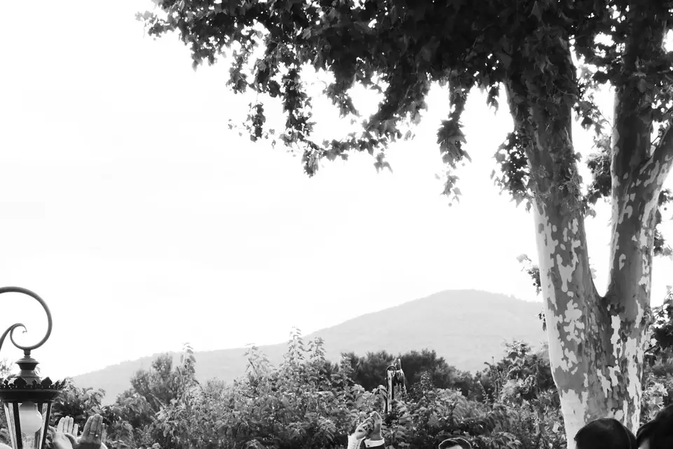 Le Mas du Lingousto — photo 5