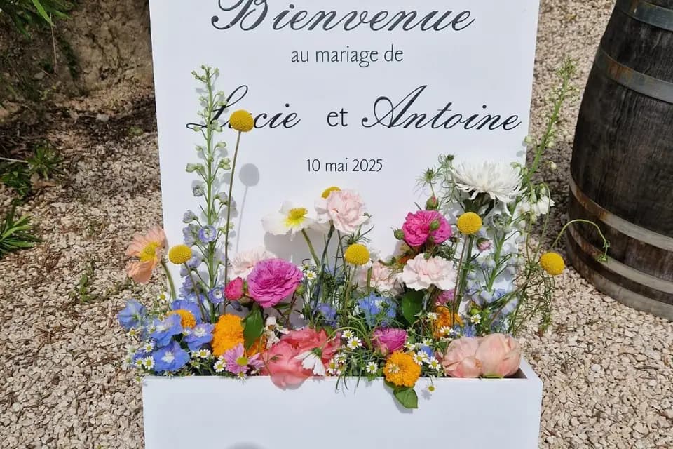 Dentelle et Paillettes