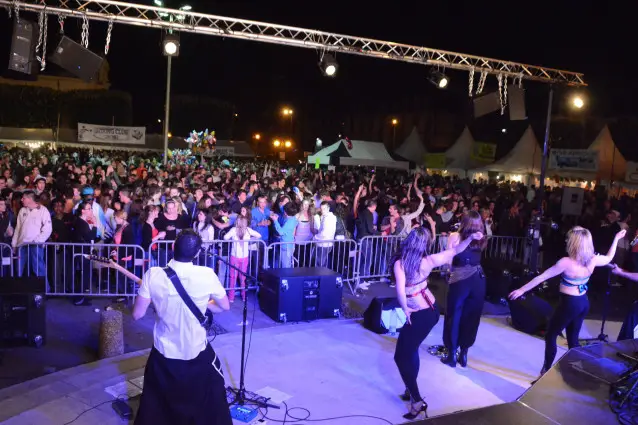 Orchestre ADN — photo 6