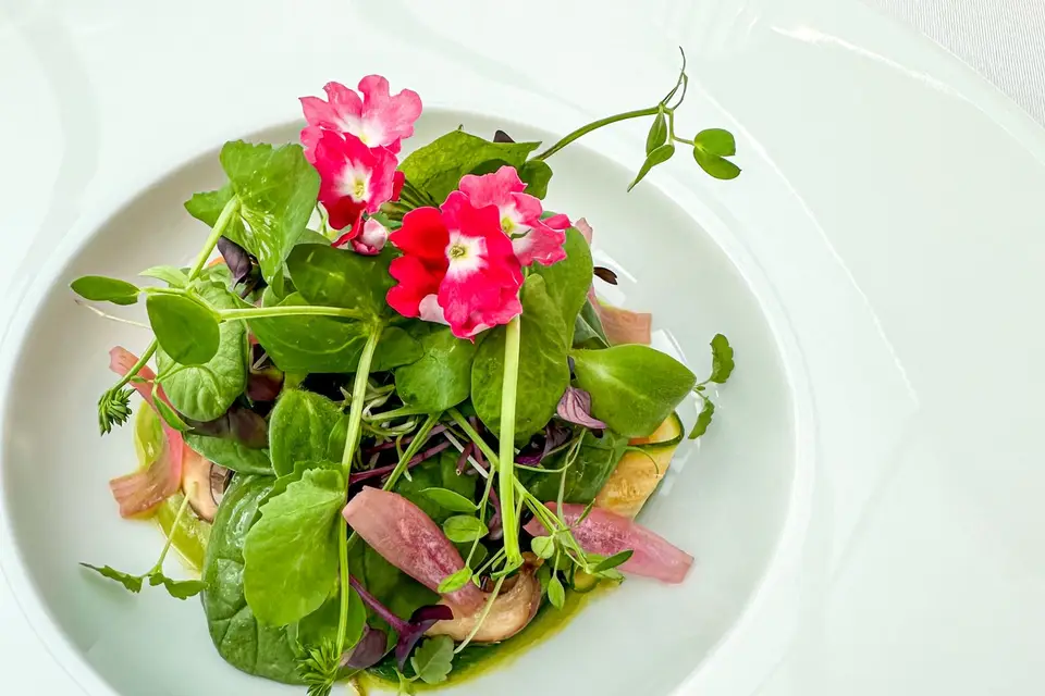 ALF Traiteur — photo 3