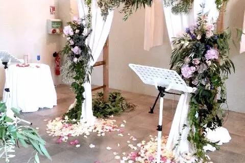 Claire L. — photo 4