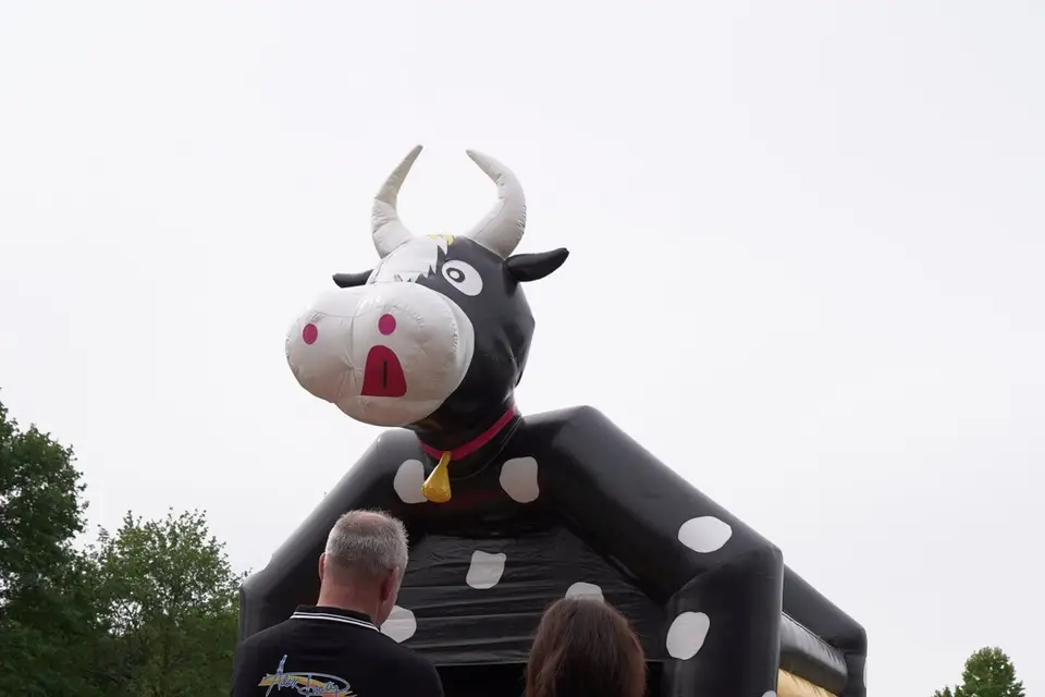 Alex Party — photo 3