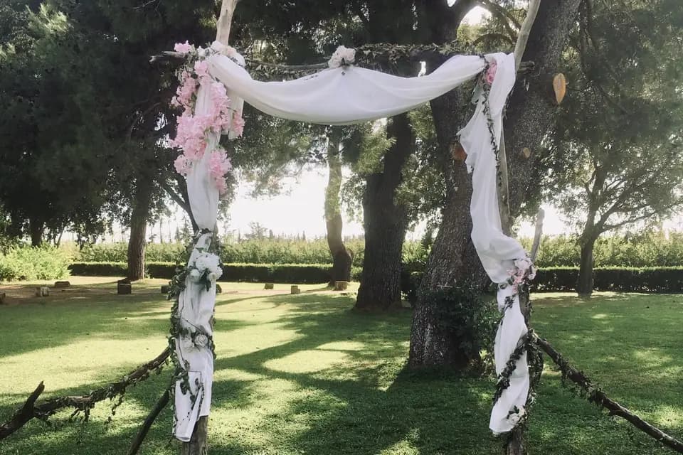 Claire L. — photo 3