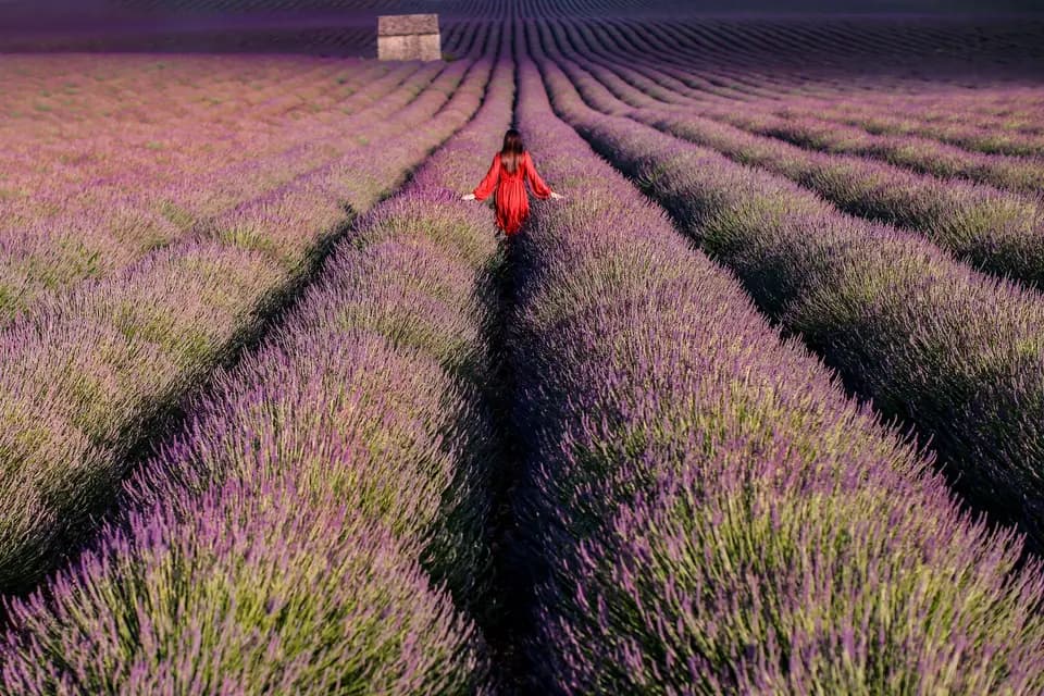 Célian Mary Photography — photo 1