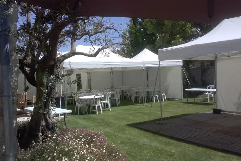 ProfFête — photo 5