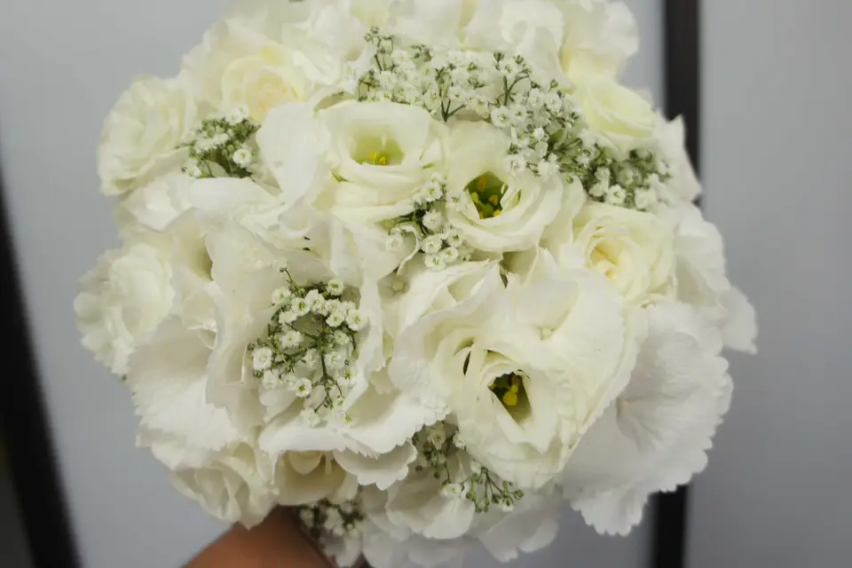 Tutti Fleurie — photo 4