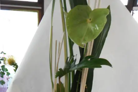 Laurent B — photo 2