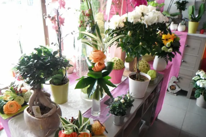 Laurent B — photo 6