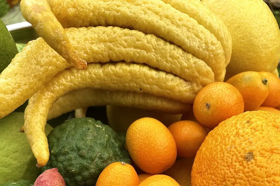 David Boyer — photo 3