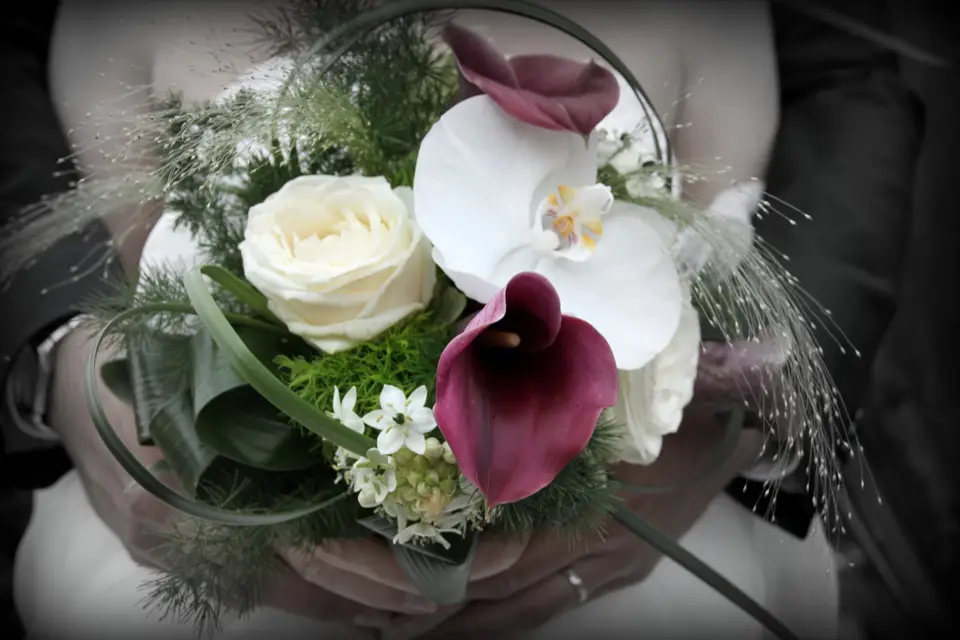 Tendr'Image — photo 2