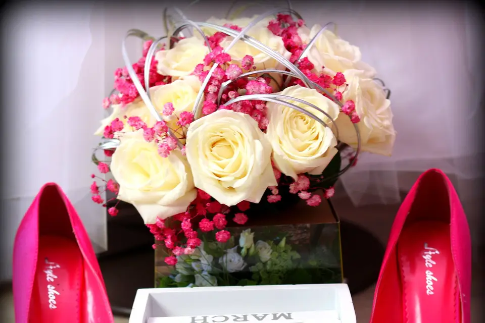 Tendr'Image — photo 1