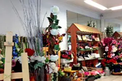 M'Amie Fleur — photo 3