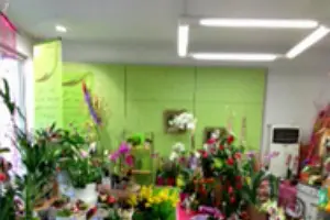 M'Amie Fleur — photo 4