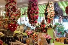 M'Amie Fleur — photo 2