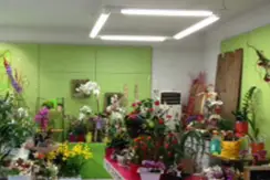 M'Amie Fleur — photo 5