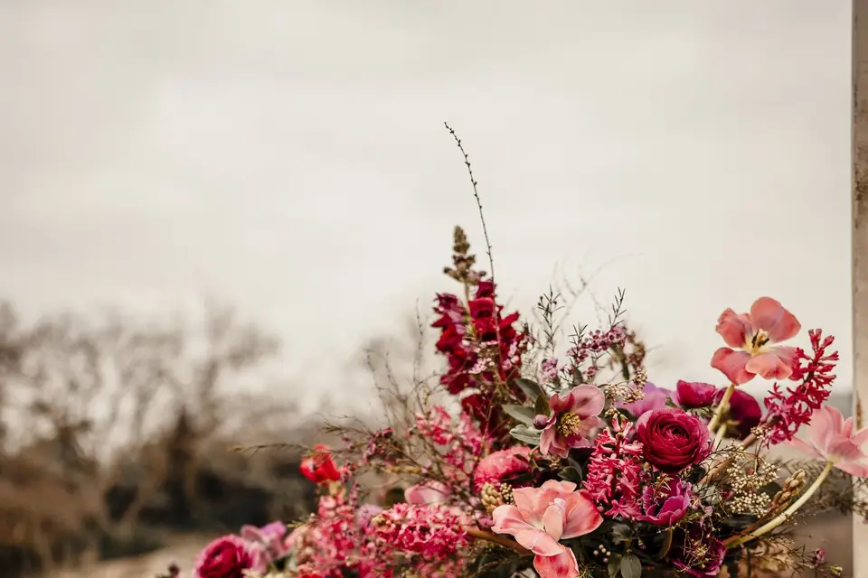 Coquelicot — photo 2