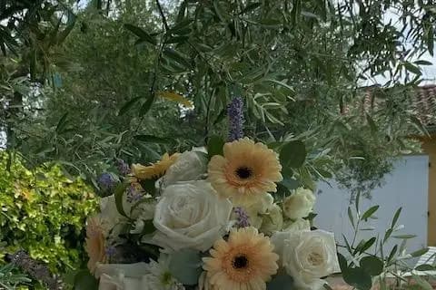 Eole Design — photo 1