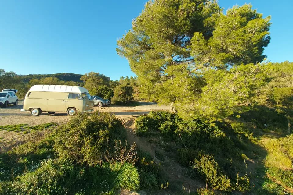 Kombi-Zen — photo 4