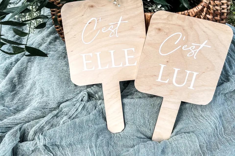 Cameleo Concept — photo 5