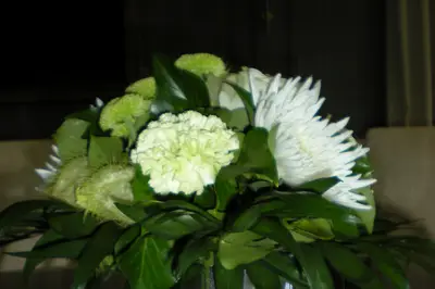 Cadoflor — photo 3