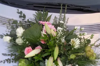 Cadoflor — photo 1