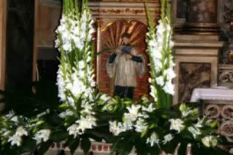 Cadoflor — photo 6