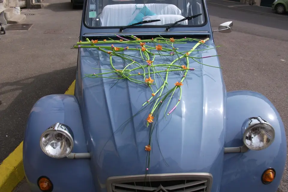 Melyflor — photo 2