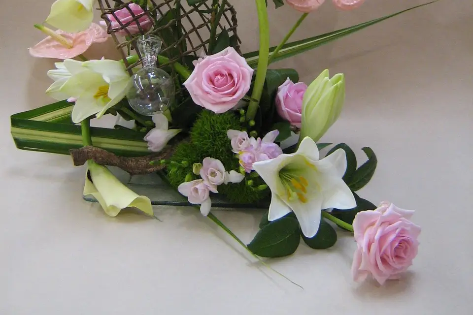 Melyflor — photo 5