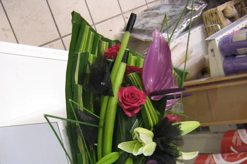 Melyflor — photo 4