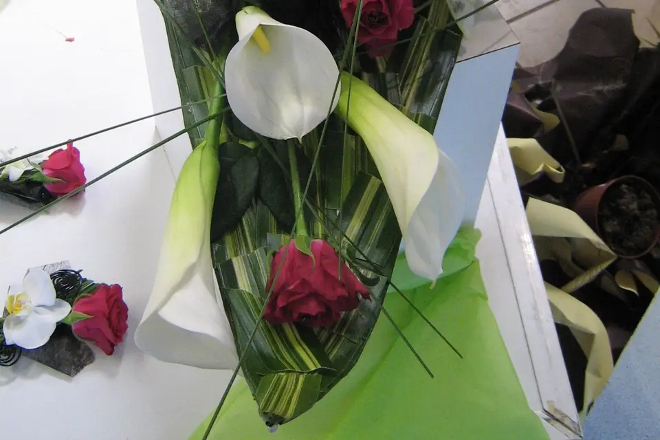 Melyflor — photo 3