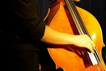 Ladybird Ensemble — photo 4