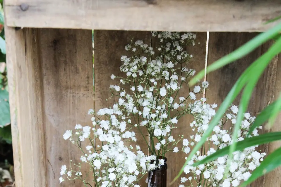 La Touche Authentique — photo 5