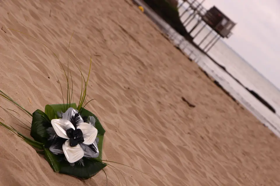 Ballon Concept — photo 4