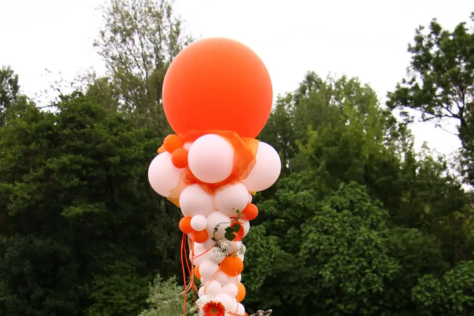 Ballon Concept — photo 8