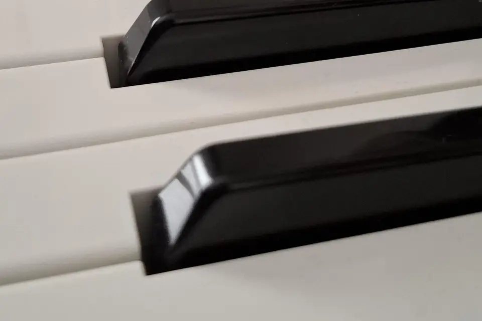 Double V — photo 1