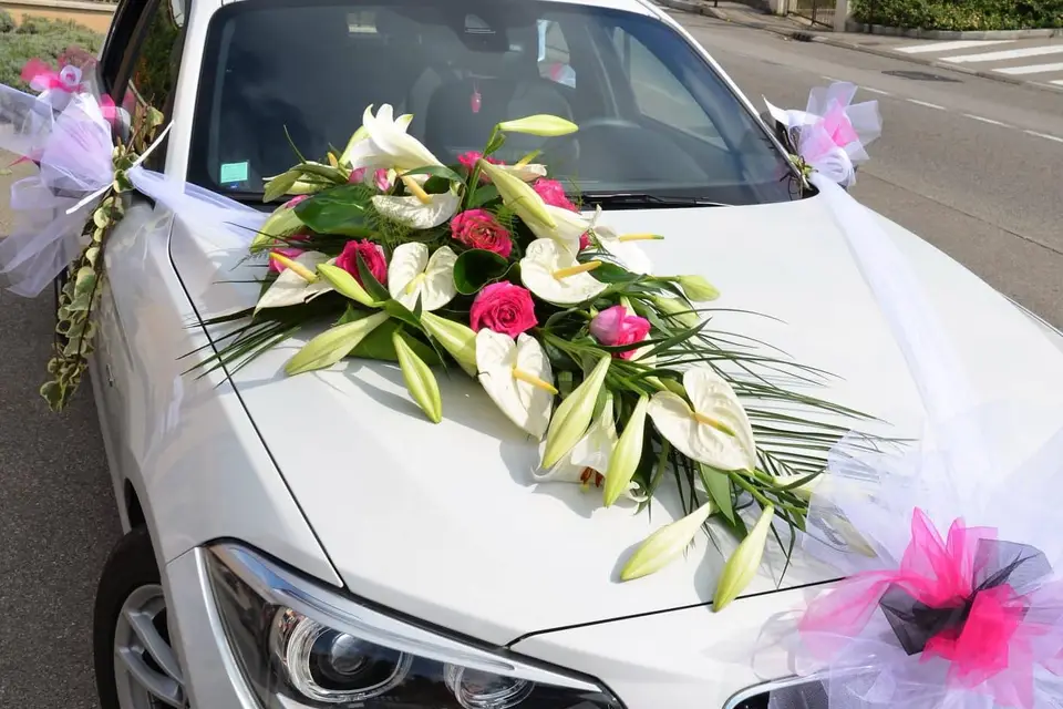 Brin de Nature — photo 3