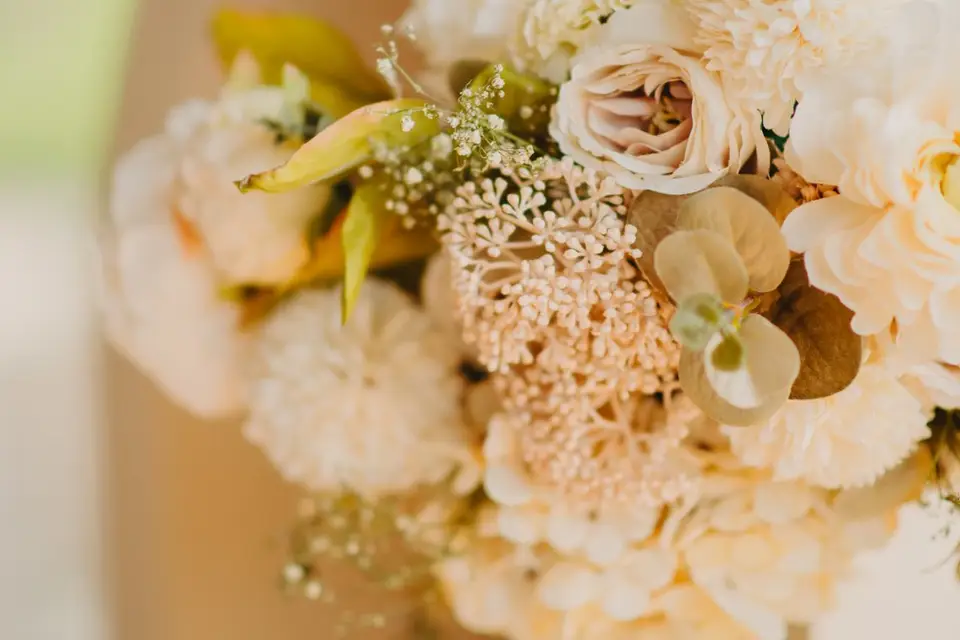 Guestbookaudio — photo 7