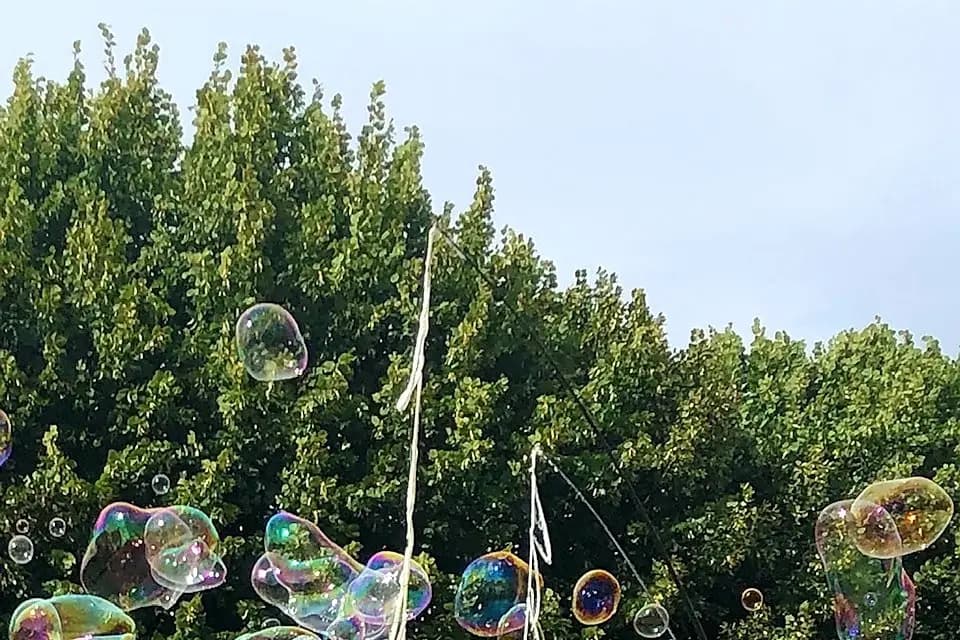 Phileomagicien — photo 1